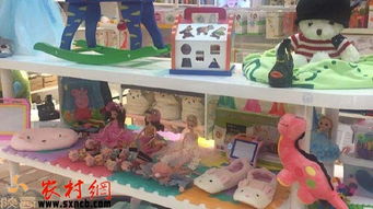 掘金鄉(xiāng)野新藍海 三大農村創(chuàng)業(yè)項目，玩具技術開發(fā)與銷售引領風潮